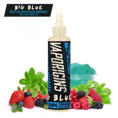 Big Blue - Vaporigins - 80ml