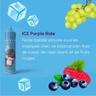 Purple Ride - Ice - 50ml